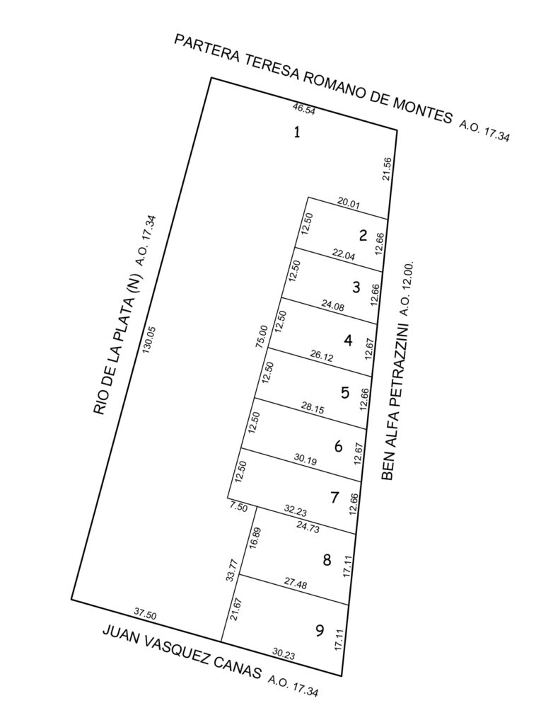 Plancheta (2)
