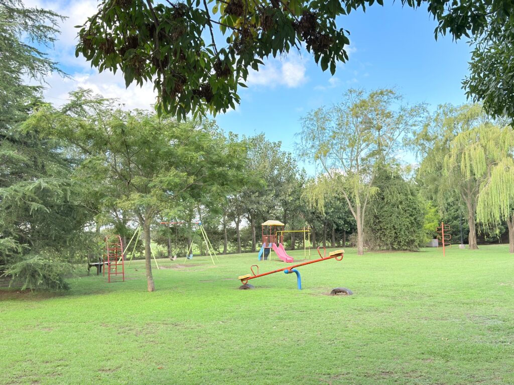los aromos 3
