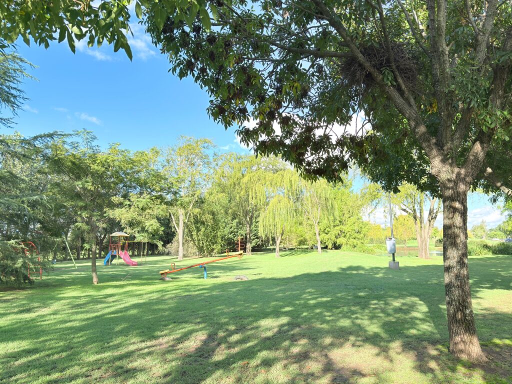 los aromos 6